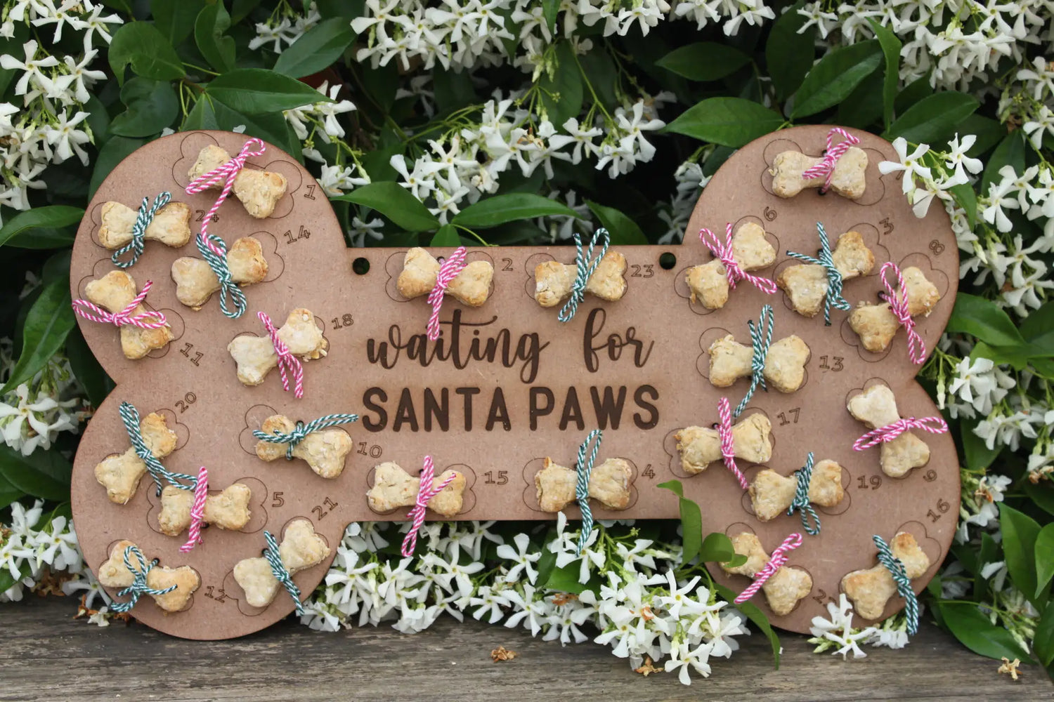 Santa Paws' Workshop